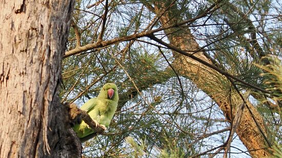 Unser guide versteht garnicht , warum wir hier stoppen und auch Fotos machen
