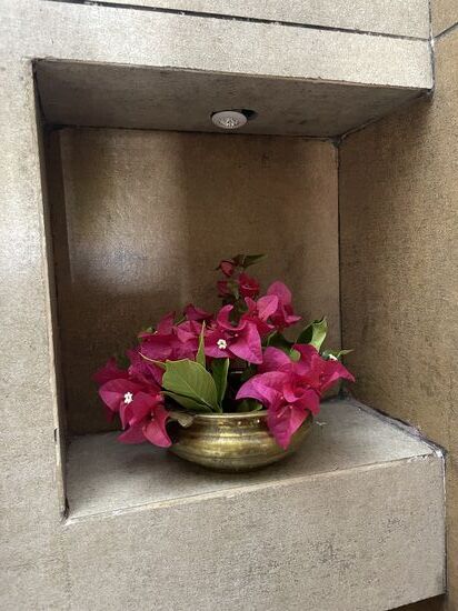 Im Zimmer werden täglich neue und frische Blumen dekoriert