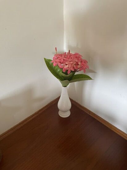 Alle aus dem eigenen Garten