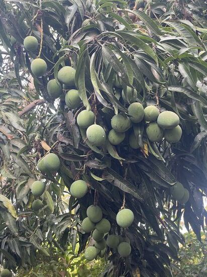 …und die hängen RICHTIG voll!