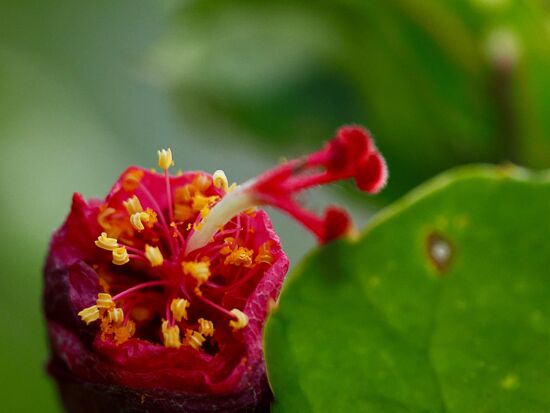 Ein paar schöne Fotos des Meisters 