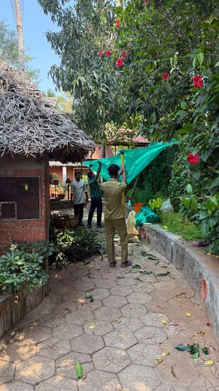 Hier wird auch geerntet