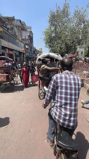 Dafür jongliert uns der flotte Fahrer ca 3km durch das Gewusel