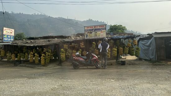 Bananen werden am Straßenrand verkauft.