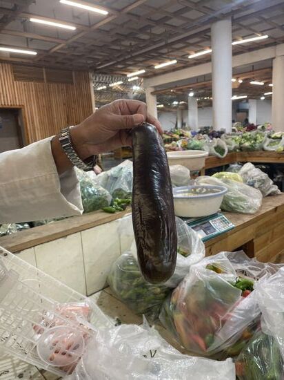 So ähnlich kennen wir die Auberginen