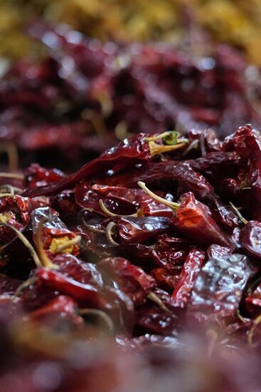 Chillie in allen Varianten….