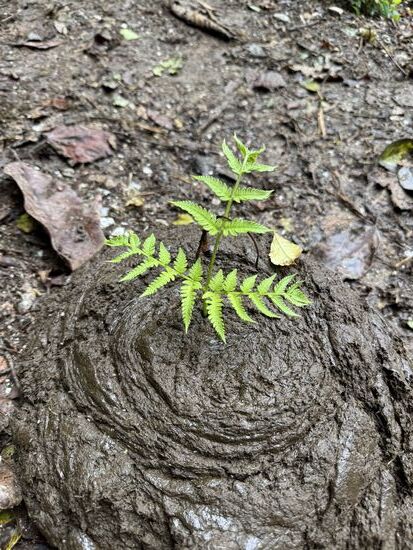 Da hat sich jemand einen Spaß erlaubt.