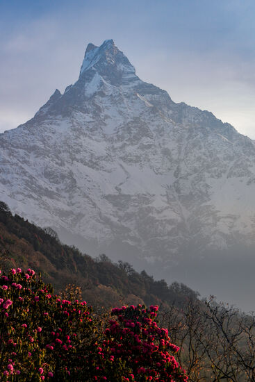 Am Morgen werden wir mit diesem atemberaubenden Ausblick auf den Machapuchare begrüßt.