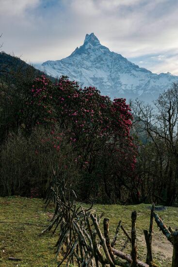 Da lohnt sich doch das frühe Aufstehen.