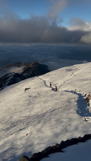Hier kommen noch ein paar Nachzügler.