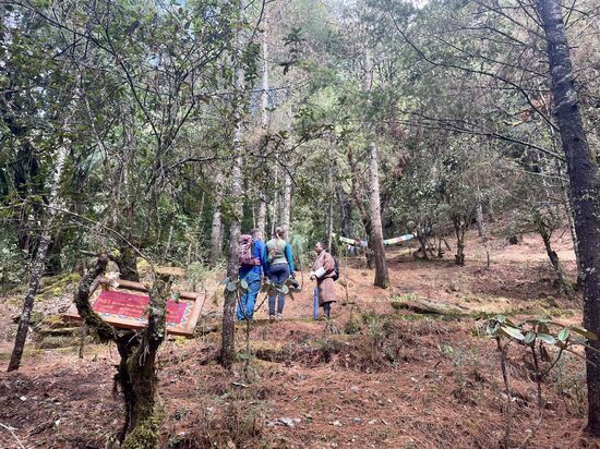 Wir starten bei 2600m