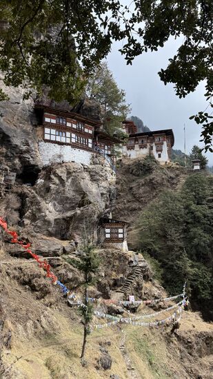 Solche Klosterburgen , die sich an die Felswände schmiegen sind typisch für Bhutan und werden Dzongs genannt