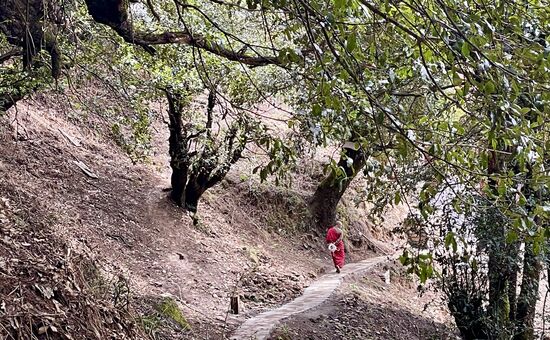 Nach ausgiebiger Besichtigung machen wir uns auf den Rückweg..
