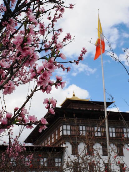 Sehr schön mit einem Park angelegt, befindet es sich am Westufer des Wang Chhu Flusses im Thimpu-Tal