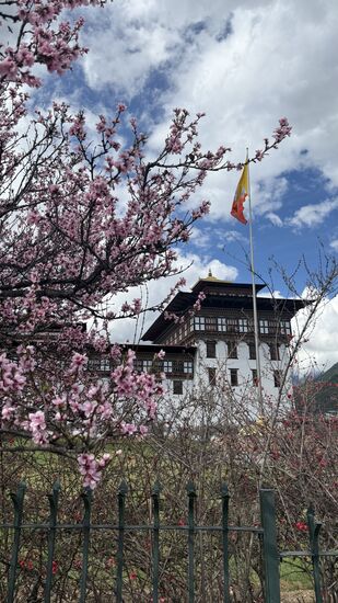 Nach dem lunch geht es weiter zum „Fortress“ von Thimpu—es handelt sich hierbei um eine majestätische Festung