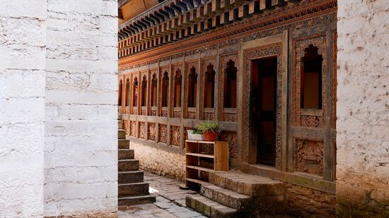 Beide sind SO schön 