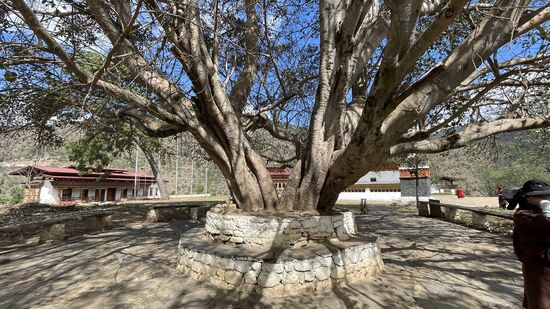 Der Tempel beherbergt ein hölzernes Phallussymbol das zur Segnung von Pilgern verwendet wird