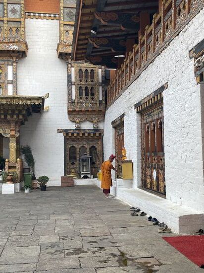 Wir beobachten das Tun der Bewohner…