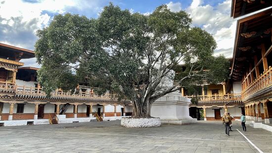 Der Dzong war der Ort für die Krönung des ersten Königs von Bhutan im Jahr 1907 und für die königliche Hochzeit im Jahr 2011 -Heute fungiert er als Verwaltungszentrum des Distikts Punakha und…