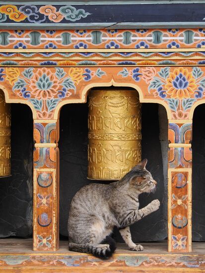 Die macht vielleicht Lärm!