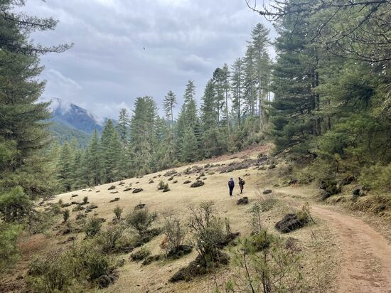 Eine entspannte Wanderung, als kleine Vorbereitung auf Morgen.