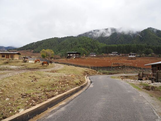 Wir laufen gute 90 Minuten ins Tal