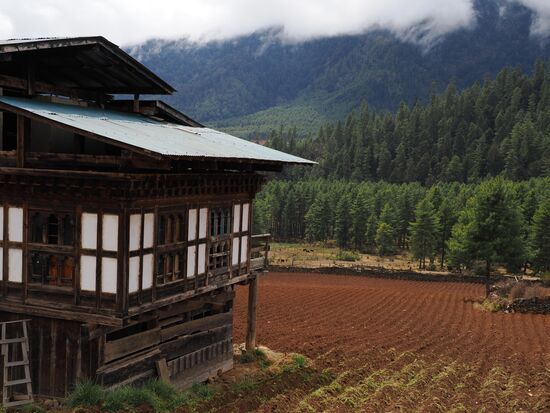 Einige Häuser haben große Kartoffelfelder