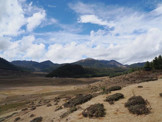 Das Phobijika-Tal ist international bekannt, als Überwinterungsgebiet der Schwarzhalzkraniche, die jedes Jahr aus dem Tibet hierherkommen