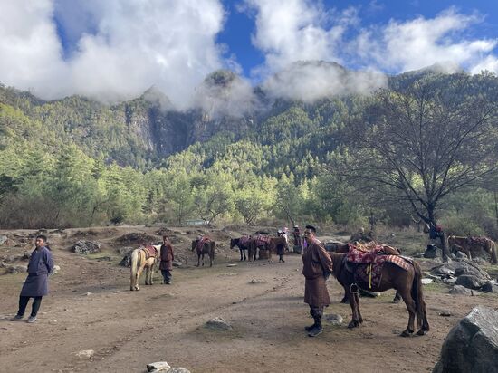 Nach ein paar Metern kommen wir an den Platz, an dem man für die erste Strecke Pferde zu 14 US$ mieten kann