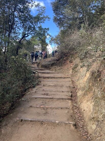 Wir machen uns indessen langsam auf den Weg…der Weg führt durch Pinienwälder und wechselt sich ab mit Steinstufen, Wurzelstufen und Erdwege