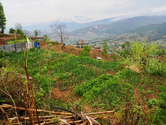 Hier gibt es Kartoffeln