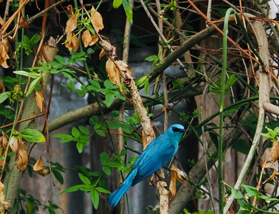 Manchmal entdeckt man auch hübsche Vögel