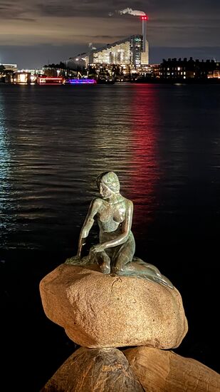 Na- und wer ist das??
Ja, die kleine Meerjungfrau nach dem gleichnamigen Märchen von Hans Christian Andersen