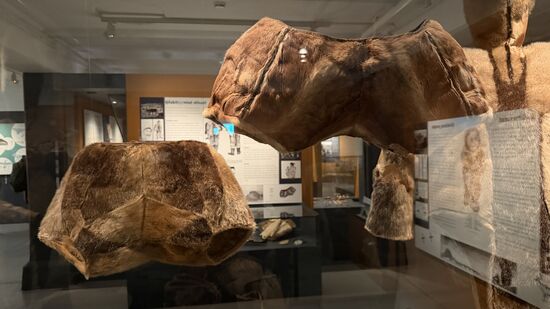 Arktische Hosen aus Robben- und Karibuhaut aus dem Jahr 1475