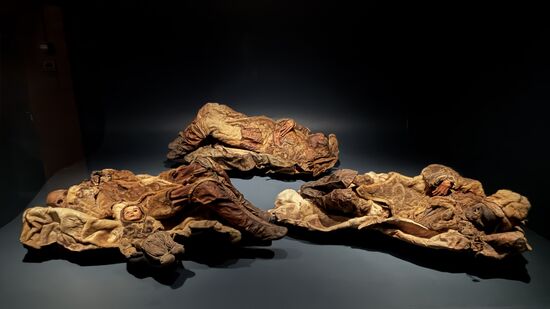 Die berühmten Mumien von Qilakitsoq. Die Mumien wurden von 2 Jägern im Jahr 1972 im Nordwesten Grönlands gefunden.
Die Gruppe besteht aus 6 erwachsenen Frauen mit 2 kleinen Kindern, darunter ein Baby und sind über 500 Jahre alt