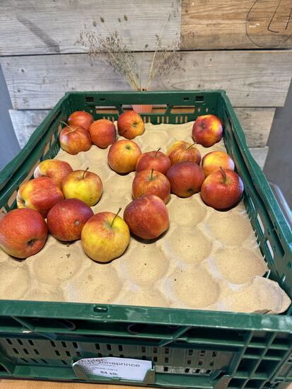 Er bietet uns einen Apfel an und ich komme ins grübeln: was wächst hier eigentlich an Obst und Gemüse?? Nichts--außer Blackberries--alles muss importiert werden
Thomas hegt noch andere Gedanken: momentan ist ja hier Sommer und 1Grad --was macht ihr mit den Menschen, die im Winter sterben? Es ist doch unmöglich Gräber auszuheben ....
Tja--diejenigen die zwischen Oktober und Mai versterben, werden  "auf Eis gelegt" , wobei 90% eingeäschert werden.