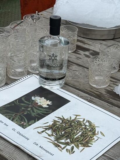 Ein Cocktail aus Gin und aromatischen  grönländischen Kräutern.
Eine Art Heidekrautgewächs