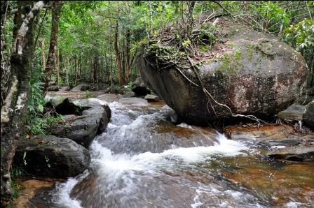 Der Wasserfall