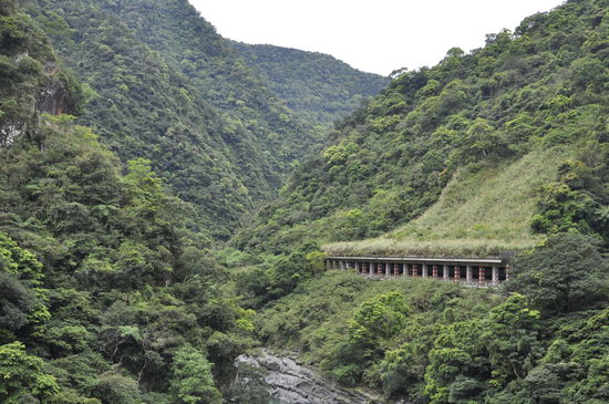 weiter gehts die viiiielen Kilometer zum Neidong Forest