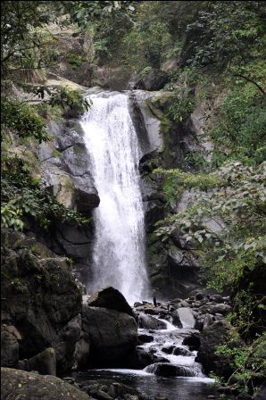 Das ist der Wasserfall im Neidong Forest Recreation Park