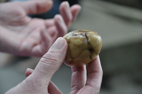 ...ich weiß, es sieht eklig aus...