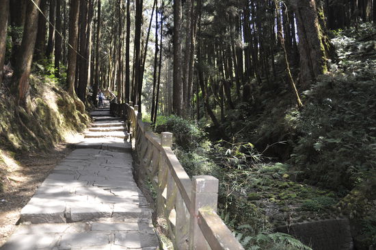 Treppen über Treppen..