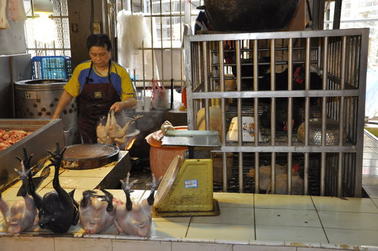 Dies ist sozusagen ein vorher-nachher-Foto..