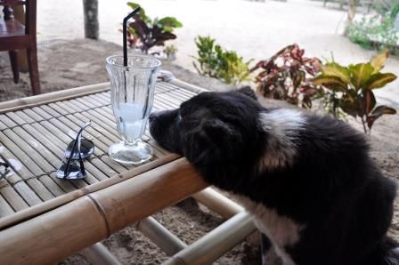 Gesellschaft am Tisch