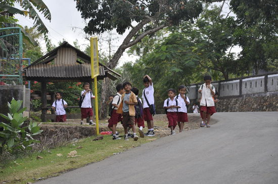 Hier entdecken sie uns grade...