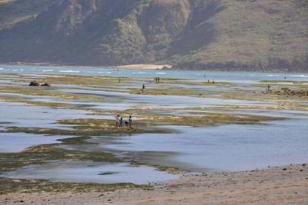So sieht der aus, wenn das Wasser weg ist. Da wird gebuddelt und viele Fische rausgeholt