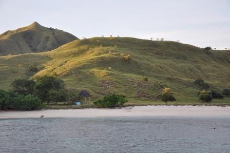 Das ist der Pink beach an einer unbewohnten Insel zu der wir rüberschwimmen