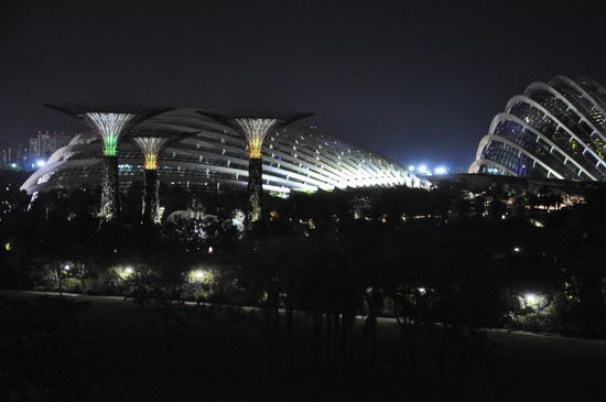 Die neuen Objekte am Bay, die wie Pilze oder Bäume aussehen