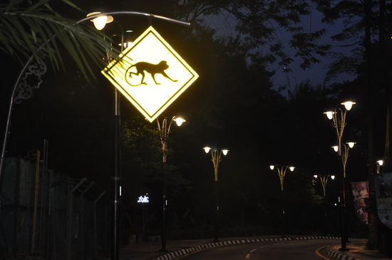 ---schnell weg hier...