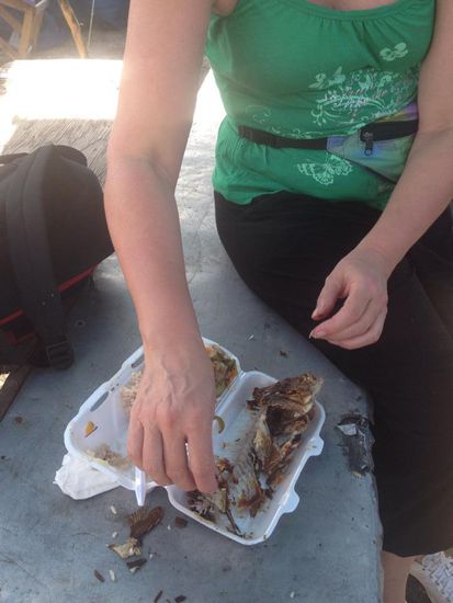 Jetzt ist erstmal der Fisch dran. Red Snapper